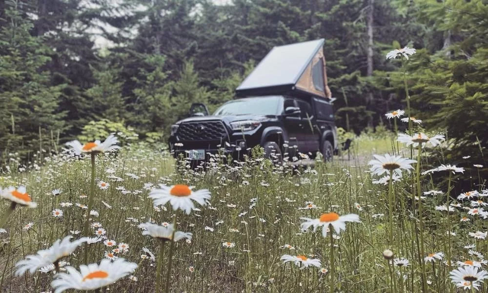 Everything You Need To Know About Truck Campers